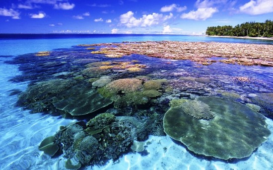 Фото коралових островів