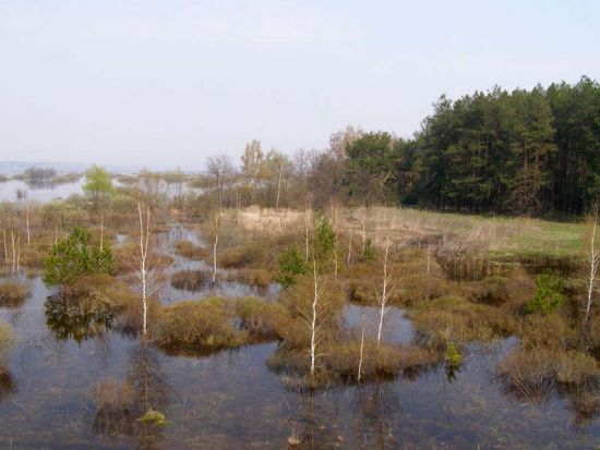 водно-болотні угіддя сумської області